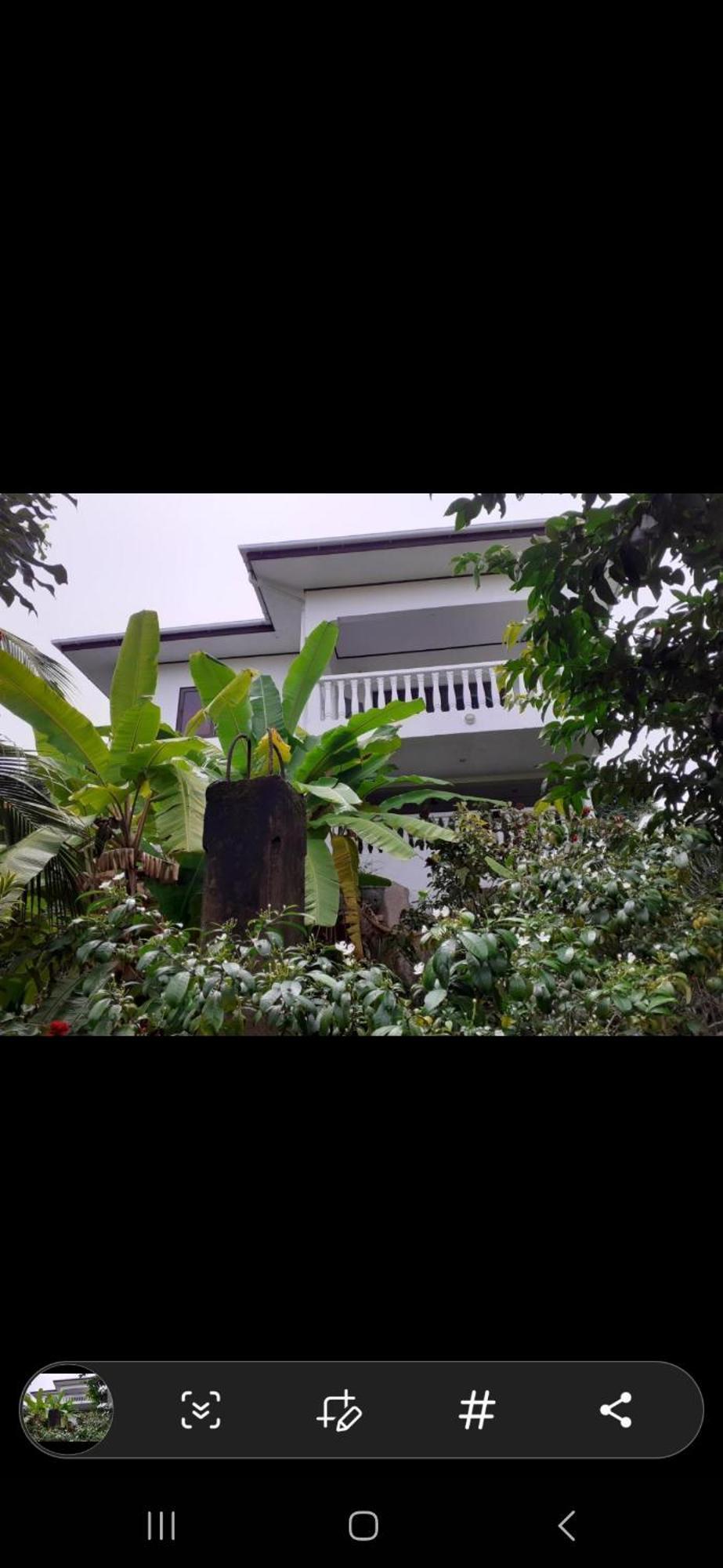 Port Glaud Gigi'S Self Catering Apartment מראה חיצוני תמונה