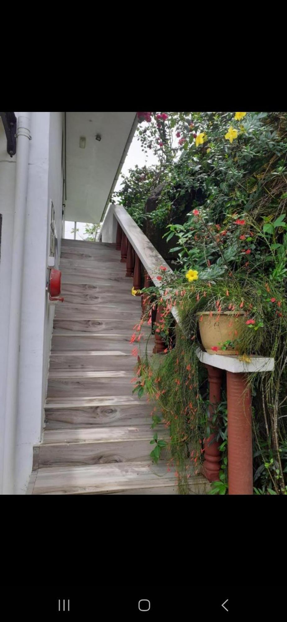 Port Glaud Gigi'S Self Catering Apartment מראה חיצוני תמונה